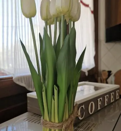 La Dolce Casa Di Emi *