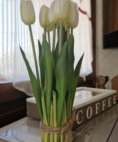 La Dolce Casa Di Emi *